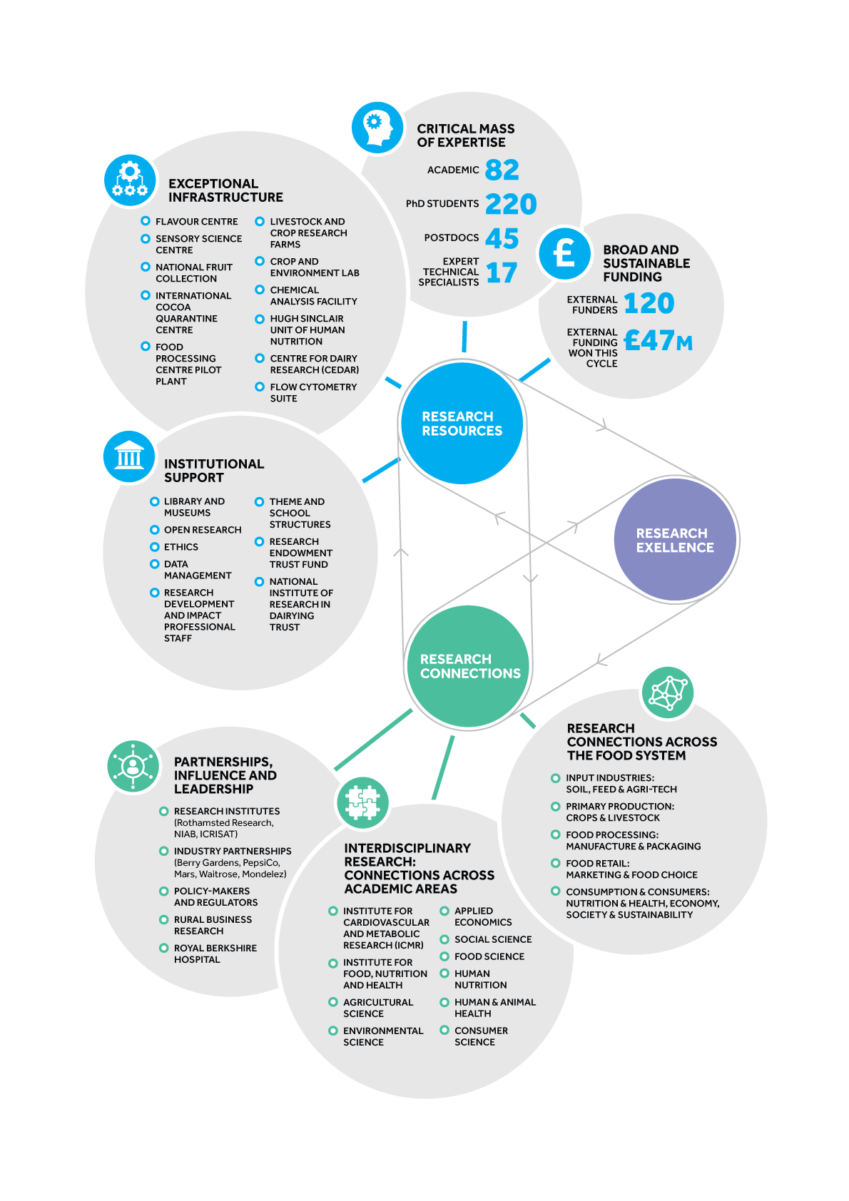 Infographic design showing organisation structure