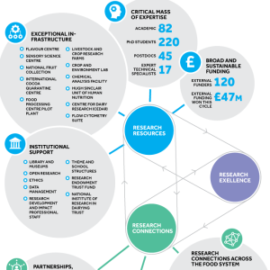 Infographic showing research structure
