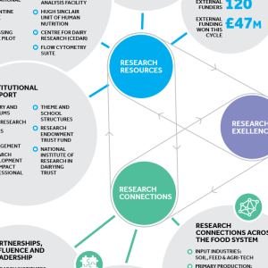 Infographic showing research structure